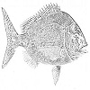 4D number 0676 in SportsToto dream dictionary