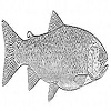 4D number 0683 in SportsToto dream dictionary