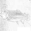 4D number 0692 in SportsToto dream dictionary