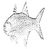 4D number 0708 in SportsToto dream dictionary