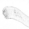 4D number 0714 in SportsToto dream dictionary