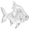 4D number 0720 in SportsToto dream dictionary