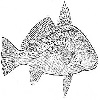 4D number 0721 in SportsToto dream dictionary