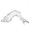 4D number 0726 in SportsToto dream dictionary