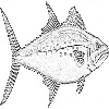 4D number 0728 in SportsToto dream dictionary