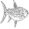 4D number 0736 in SportsToto dream dictionary