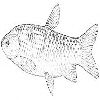 4D number 0741 in SportsToto dream dictionary