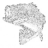 4D number 0744 in SportsToto dream dictionary