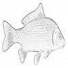 4D number 0748 in SportsToto dream dictionary