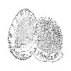 4D number 0750 in SportsToto dream dictionary
