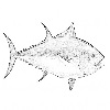 4D number 0751 in SportsToto dream dictionary