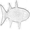 4D number 0752 in SportsToto dream dictionary