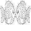 4D number 0753 in SportsToto dream dictionary