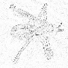 4D number 0775 in SportsToto dream dictionary
