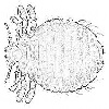 4D number 0798 in SportsToto dream dictionary