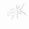 4D number 0803 in SportsToto dream dictionary