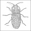 4D number 0804 in SportsToto dream dictionary