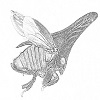 4D number 0807 in SportsToto dream dictionary