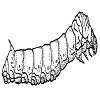 4D number 0812 in SportsToto dream dictionary