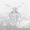 4D number 0831 in SportsToto dream dictionary