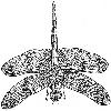 4D number 0832 in SportsToto dream dictionary - Dragonfly (蜻蜓)