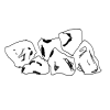 4D number 1292 in SportsToto dream dictionary