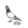 4D number 1371 in SportsToto dream dictionary