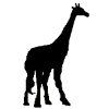 4D number 2519 in SportsToto dream dictionary
