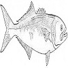 4D number 2645 in SportsToto dream dictionary