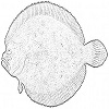 4D number 2660 in SportsToto dream dictionary