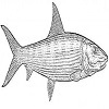 4D number 2667 in SportsToto dream dictionary