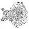 4D number 2673 in SportsToto dream dictionary