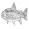 4D number 2702 in SportsToto dream dictionary