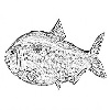 4D number 2715 in SportsToto dream dictionary