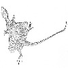 4D number 2811 in SportsToto dream dictionary - Spotted Flying Dragon (飞蛇)