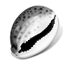 4D number 3446 in SportsToto dream dictionary