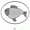 4D number 3647 in SportsToto dream dictionary