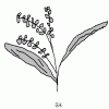 4D number 3736 in SportsToto dream dictionary