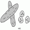 4D number 3738 in SportsToto dream dictionary