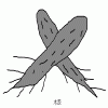 4D number 3739 in SportsToto dream dictionary
