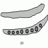 4D number 3803 in SportsToto dream dictionary