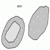 4D number 3817 in SportsToto dream dictionary