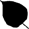 4D number 3888 in SportsToto dream dictionary - Mulberries (桑子)