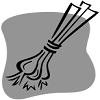 4D number 4559 in SportsToto dream dictionary - Scallion (葱)