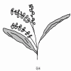 4D number 4736 in SportsToto dream dictionary
