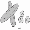 4D number 4738 in SportsToto dream dictionary