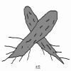 4D number 4739 in SportsToto dream dictionary