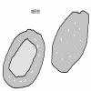 4D number 4817 in SportsToto dream dictionary