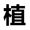 4D number 6704 in SportsToto dream dictionary