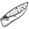 4D number 7330 in SportsToto dream dictionary